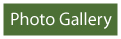 Photo Gallery