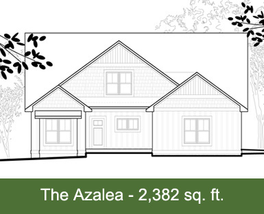 the azalea